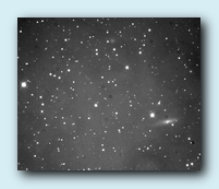 NGC 1003.jpg